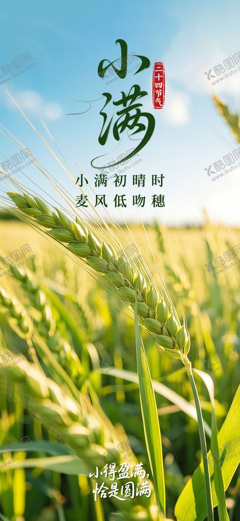 编号：91010805112309455328【酷图网】源文件下载-小满节气海报