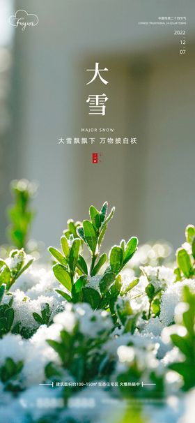 大气中国风大雪节气海报