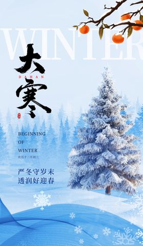 大寒海报