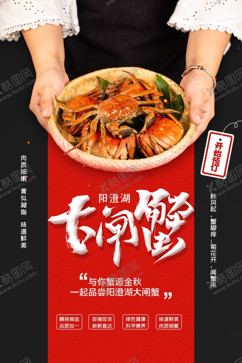 编号：84625205100920465858【酷图网】源文件下载-大闸蟹