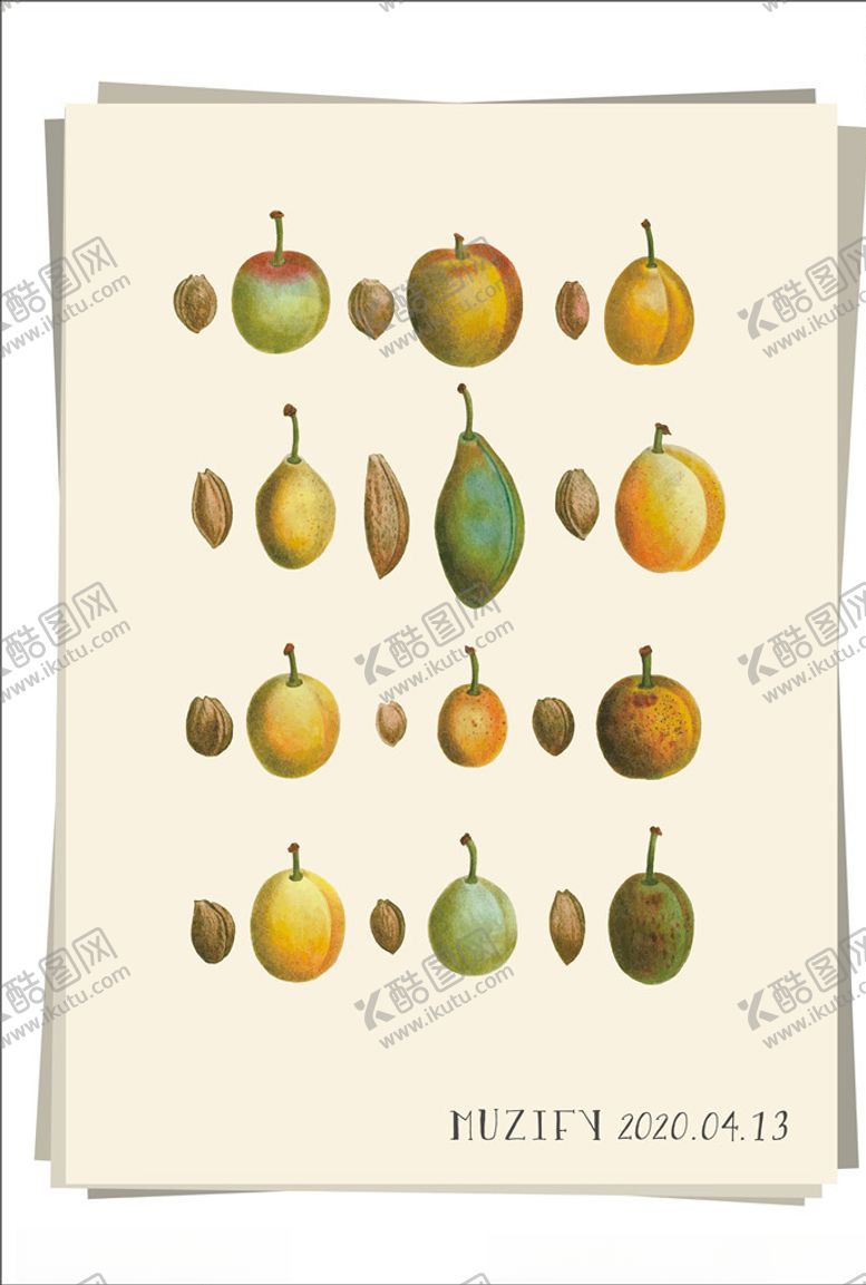 编号：86438209221751435987【酷图网】源文件下载-桃子果实果核水果图鉴