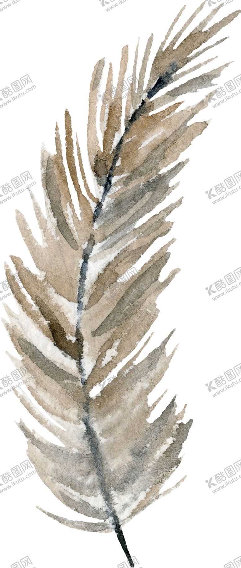 编号：31779707030041098264【酷图网】源文件下载-水彩绘画花朵树枝装饰
