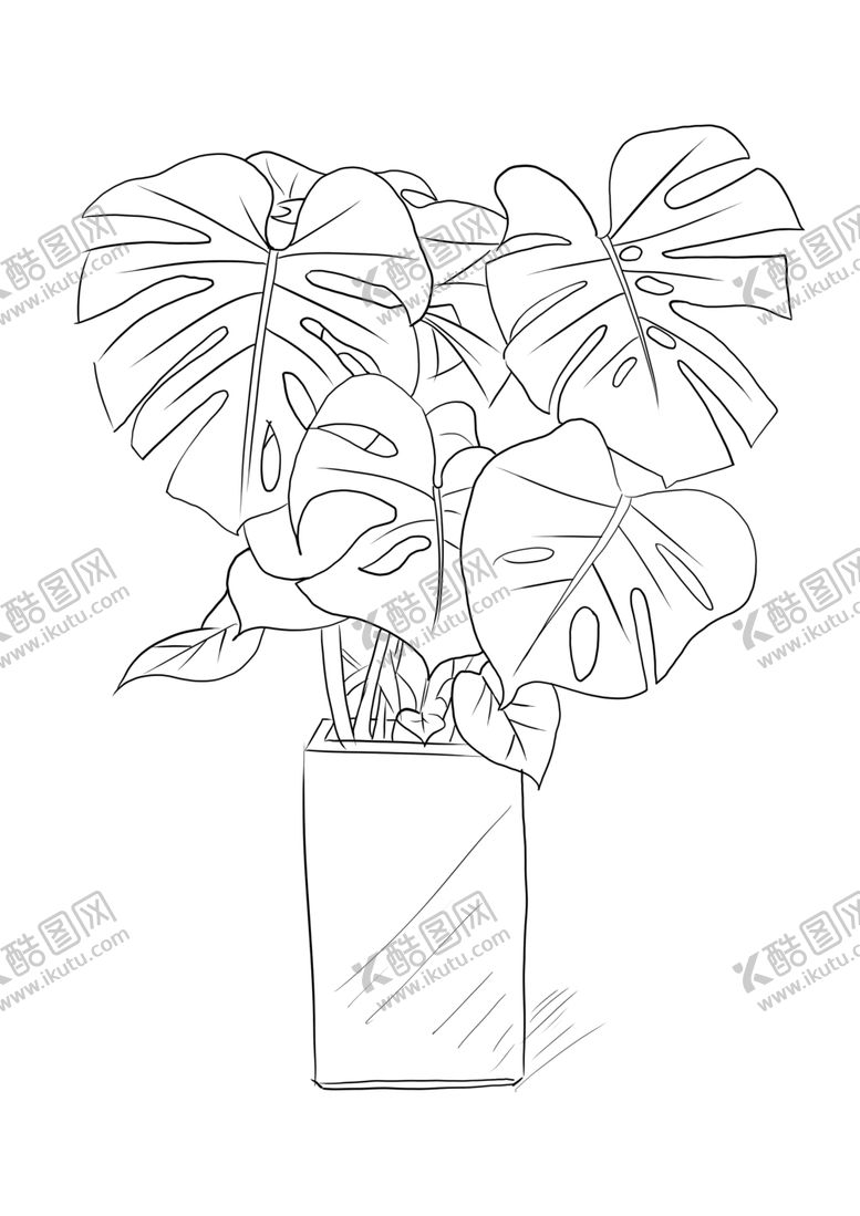 编号：45445210290522039954【酷图网】源文件下载-龟背竹简笔画