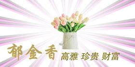 郁金香文化