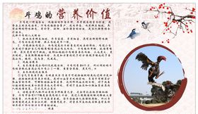 奋斗鸡排海报
