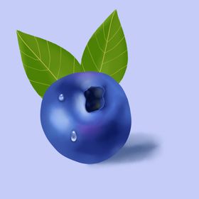 蓝莓