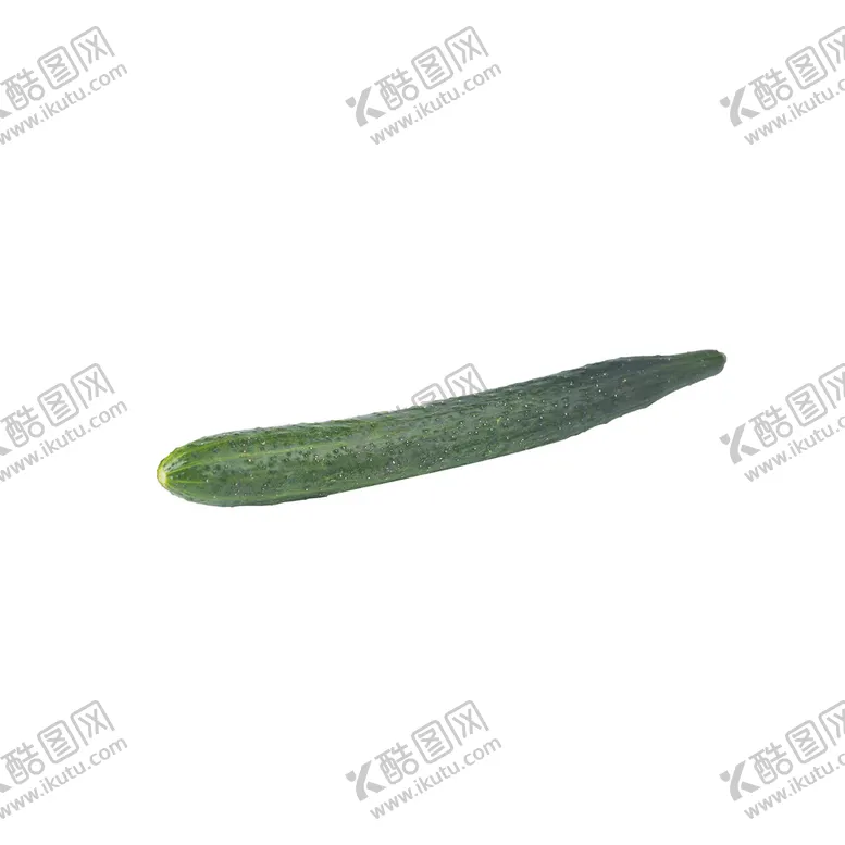 编号：28451710080402481026【酷图网】源文件下载-黄瓜