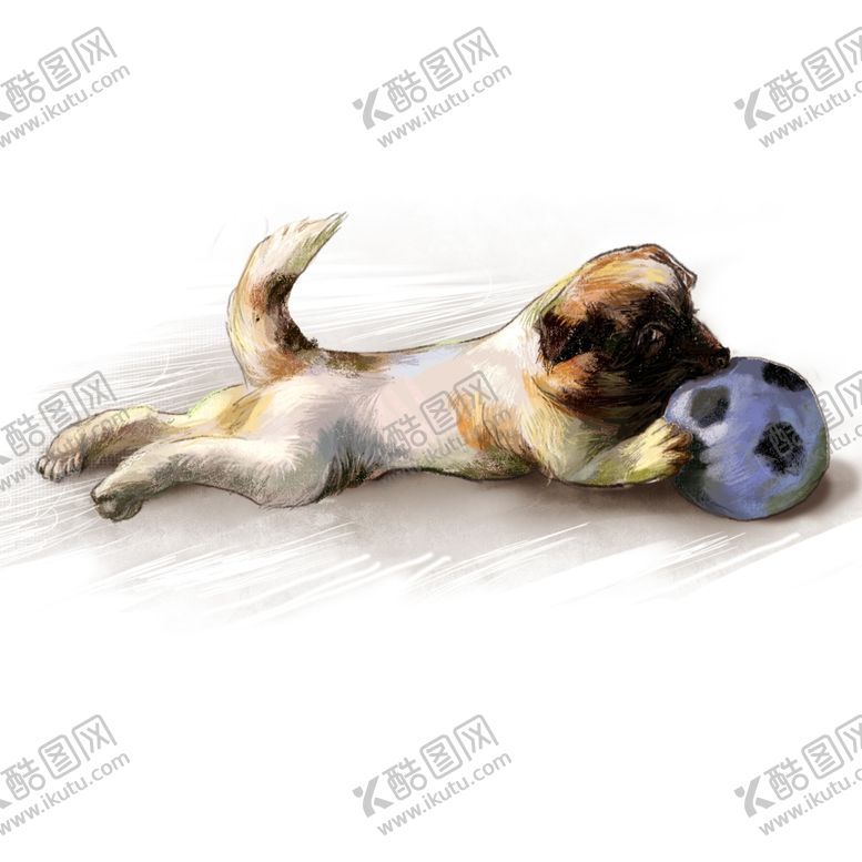 编号：31247609141627579152【酷图网】源文件下载-手绘玩球的宠物狗