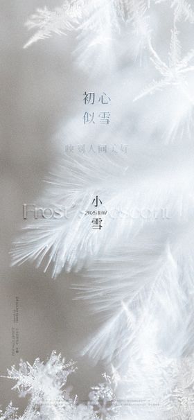 质感小雪节气设计
