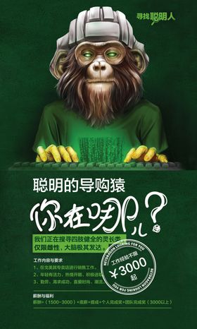 招聘广告招聘员工程序猿