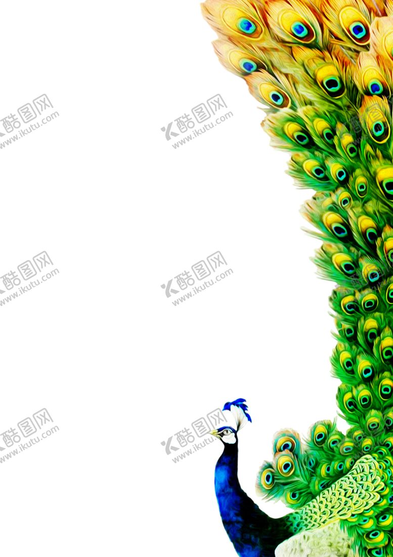编号：68567906281953237952【酷图网】源文件下载-孔雀