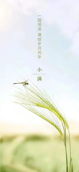 油画风小满节气房地产营销海报