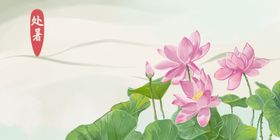 处暑大寒谷雨春分秋分