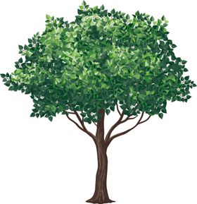 矢量树