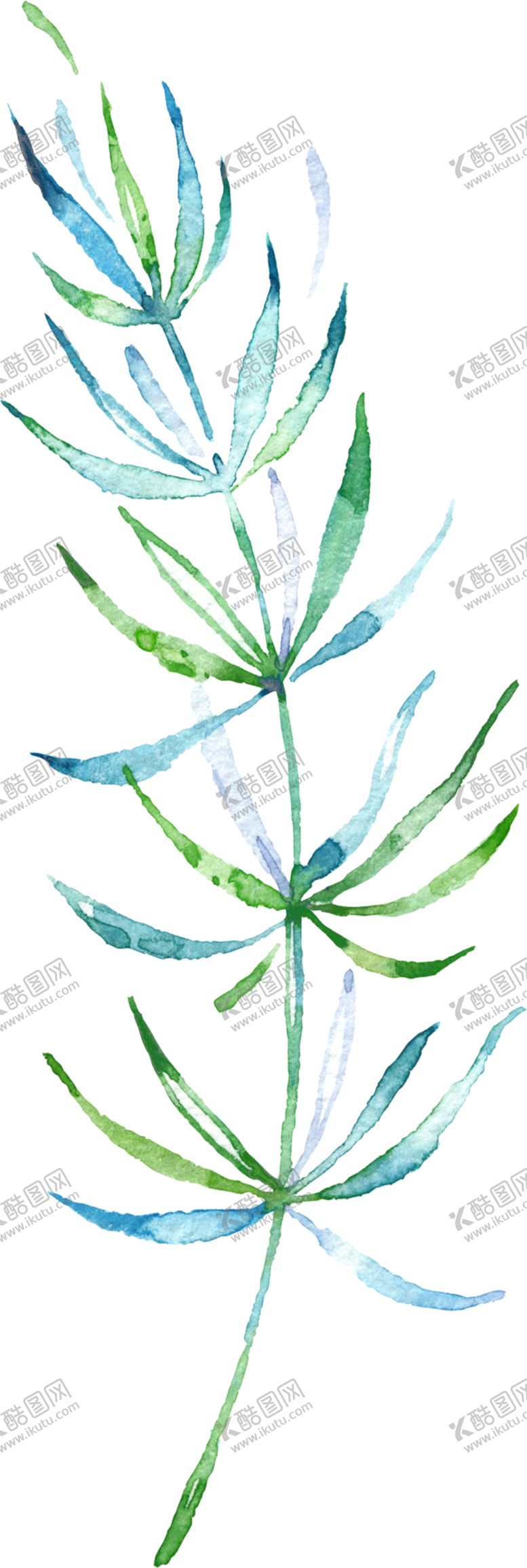 编号：43066805121325542976【酷图网】源文件下载-手绘植物
