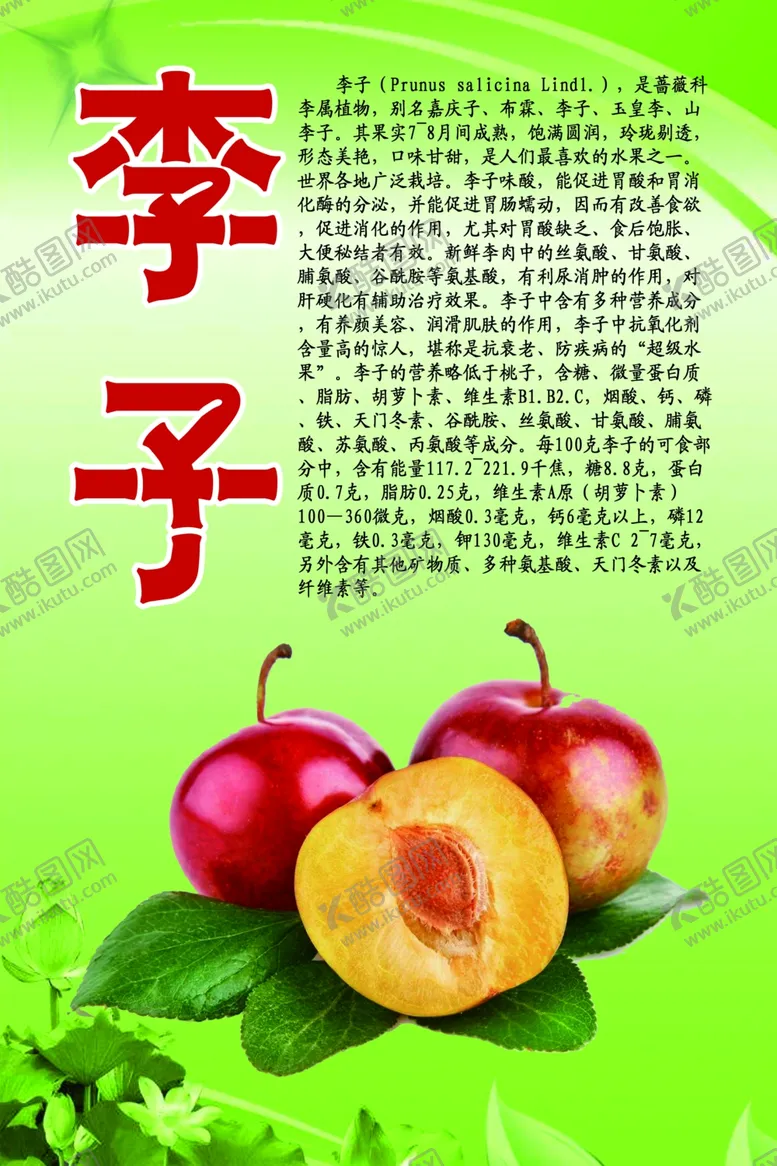 编号：58856906232048404086【酷图网】源文件下载-水果文化系列之李子
