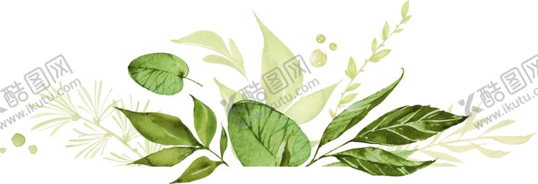 编号：21029110132159051604【酷图网】源文件下载-手绘植物叶子