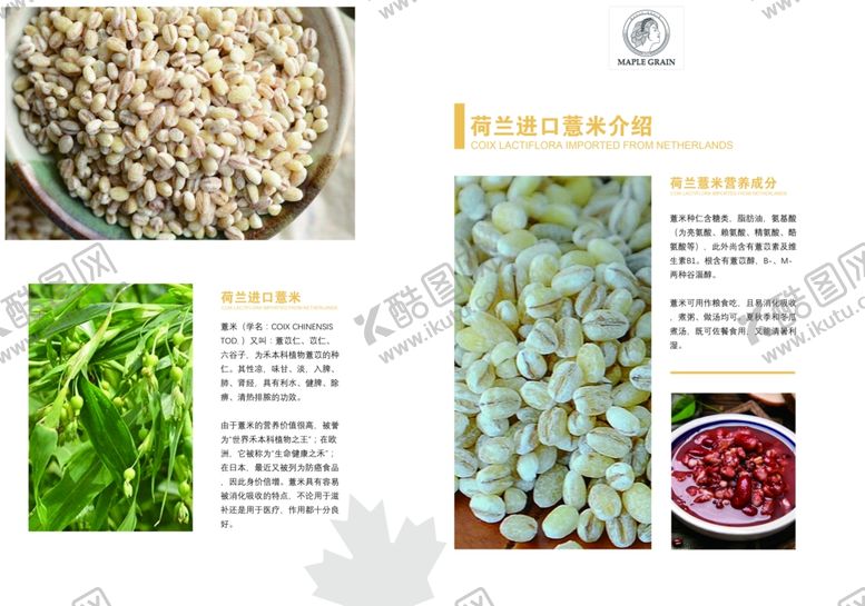 编号：70737807011303268867【酷图网】源文件下载-荷兰薏米
