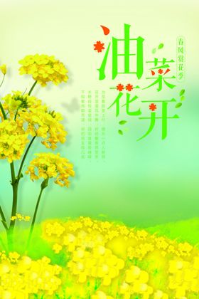 油菜花海报
