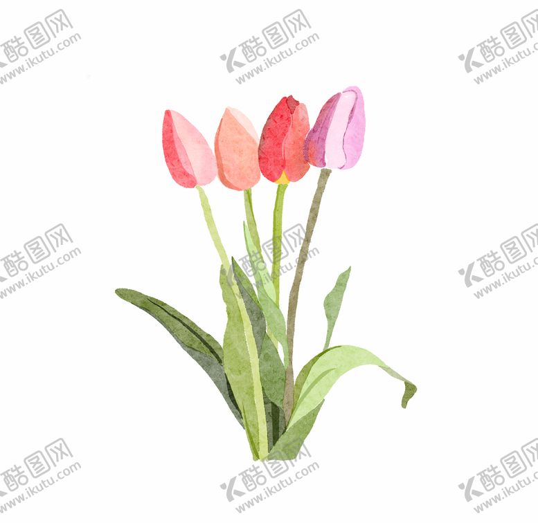 编号：12743010080206417621【酷图网】源文件下载-水彩郁金香花朵清新花束