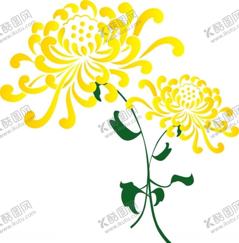 编号：47335509281318522666【酷图网】源文件下载-菊花