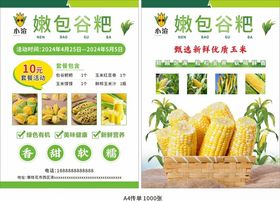 玉米传单嫩黄甜包谷