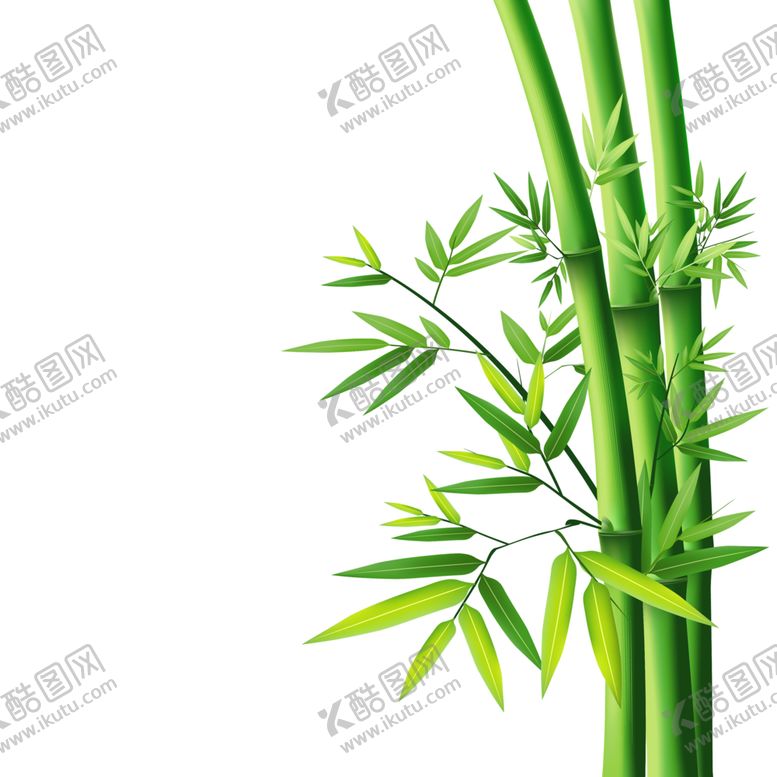 编号：41010207040618443815【酷图网】源文件下载-竹子