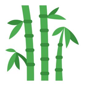 竹子图片