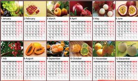 水果日历
