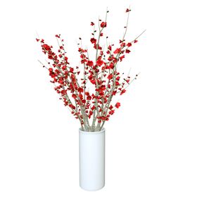 免抠背景干花枯花