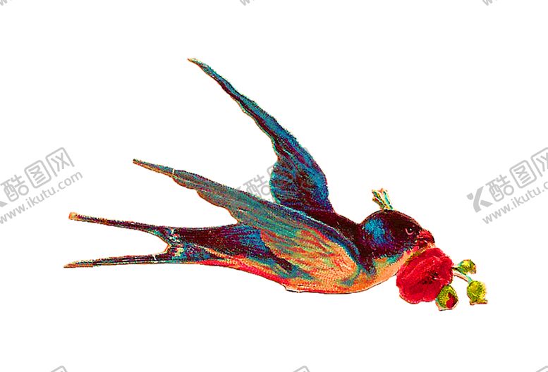 编号：40285910131800118993【酷图网】源文件下载-鲜花装饰