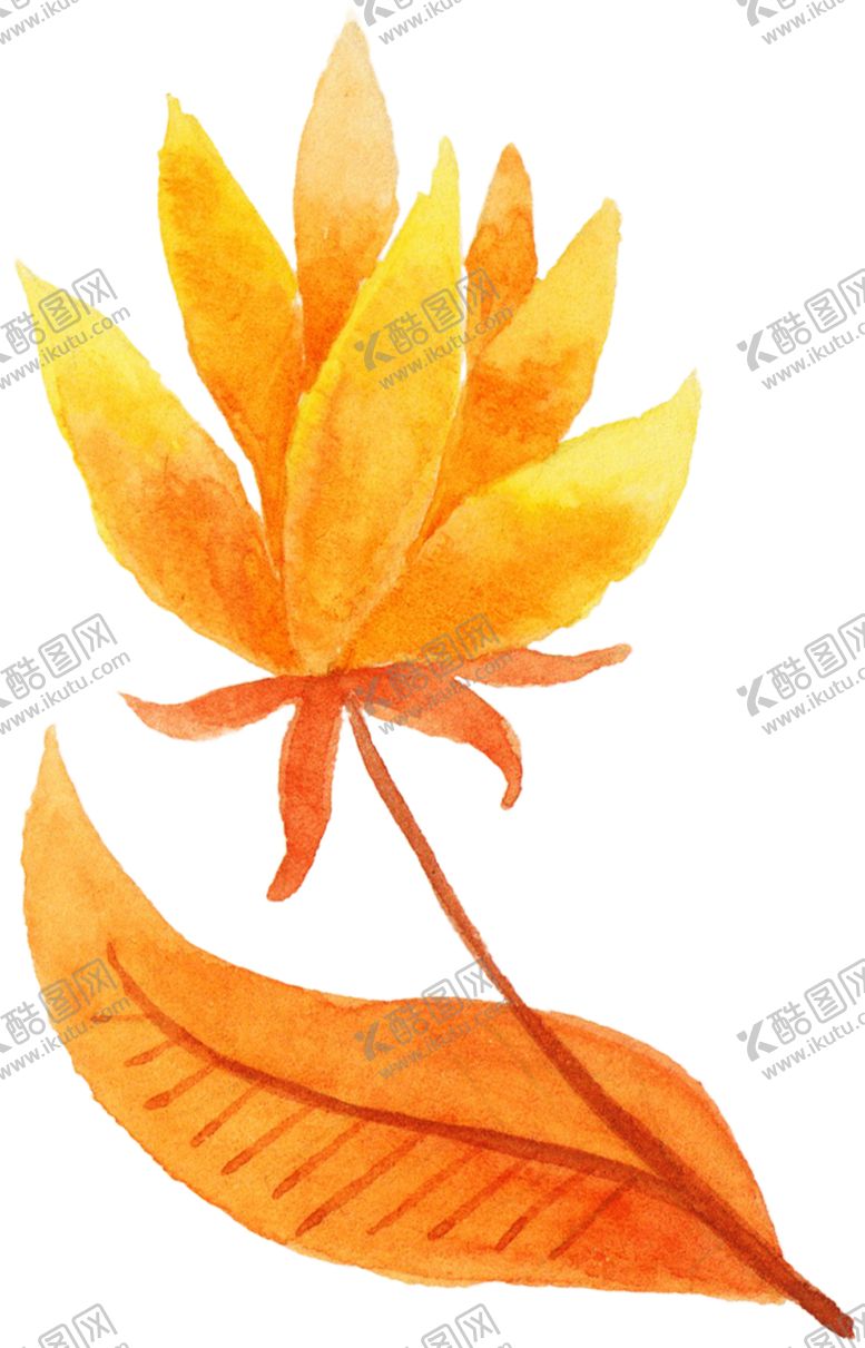 编号：55898905190146262881【酷图网】源文件下载-水彩植物