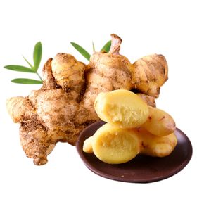 生姜素材
