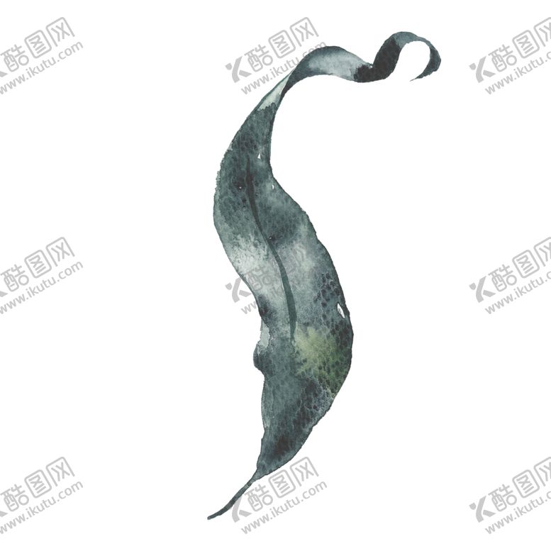 编号：63730009240526305222【酷图网】源文件下载-小清新水彩植物树枝