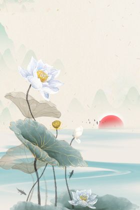 荷花背景