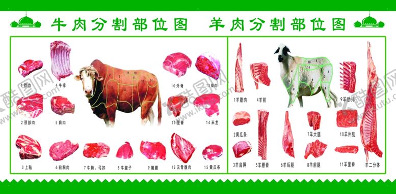 编号：27842802102000111791【酷图网】源文件下载-牛肉分割图