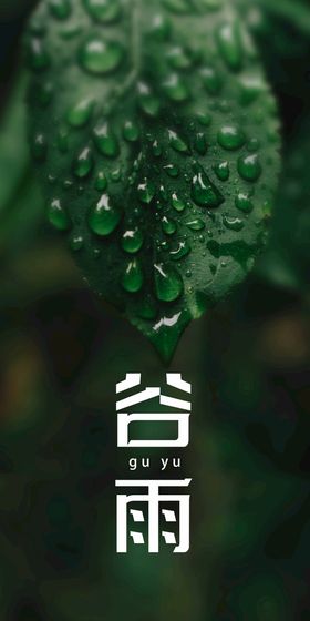 谷雨