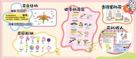 卡通花朵简介