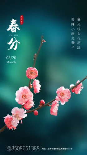春分二十四节气微信立蛋