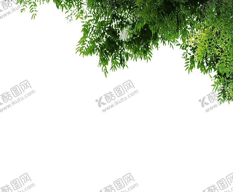 编号：57541507041535405024【酷图网】源文件下载-绿色装饰