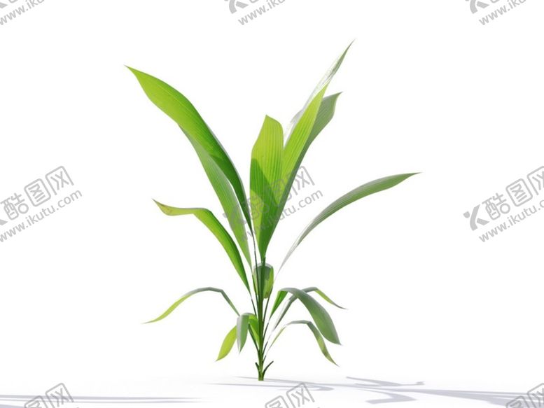 编号：52511202131104548136【酷图网】源文件下载-C4D模型 植物树木仙茅