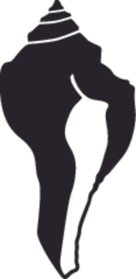 海洋生物系列海螺