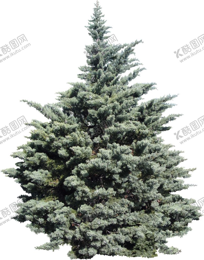 编号：35736409270443566713【酷图网】源文件下载-免扣树木素材