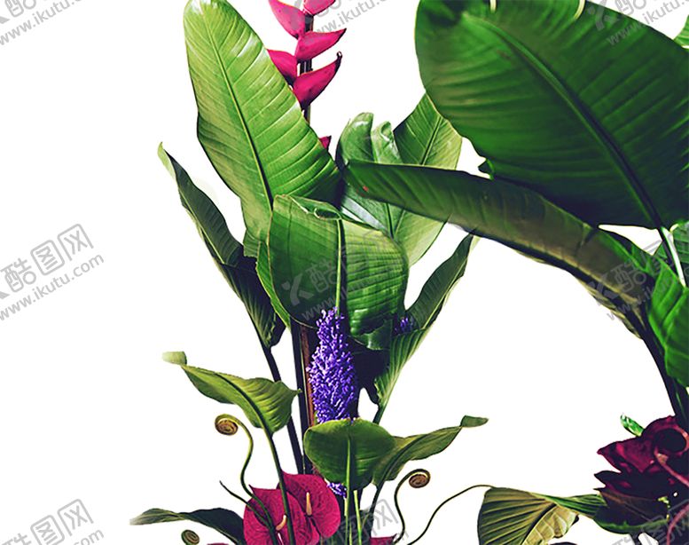 编号：96110910051643149097【酷图网】源文件下载-绿色植物