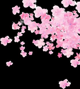 桃花素材