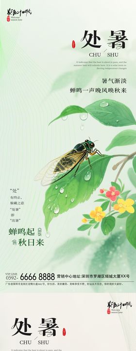 夏蝉