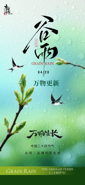 谷雨节日节气海报