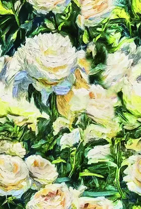 玫瑰花手绘印牡丹