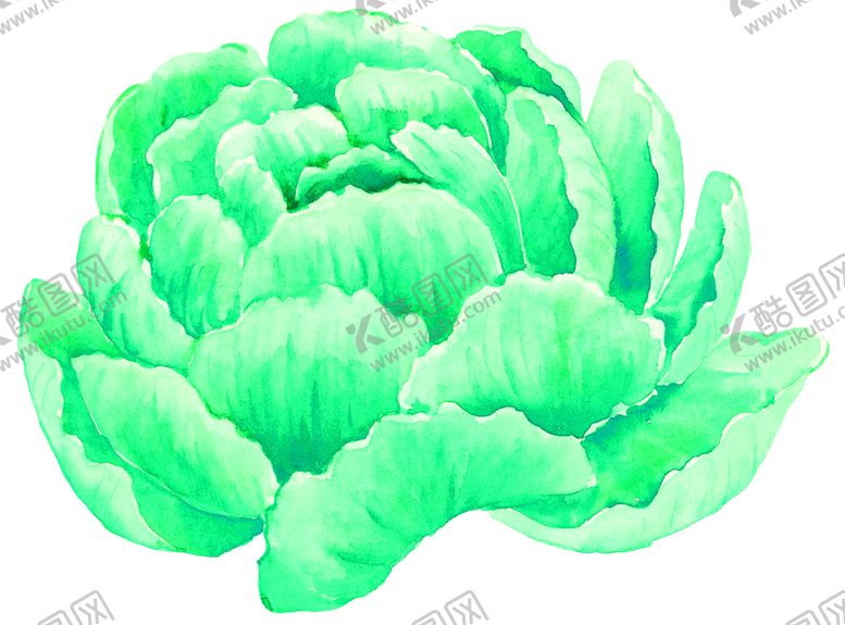 编号：28609210172219257560【酷图网】源文件下载-鲜花素材