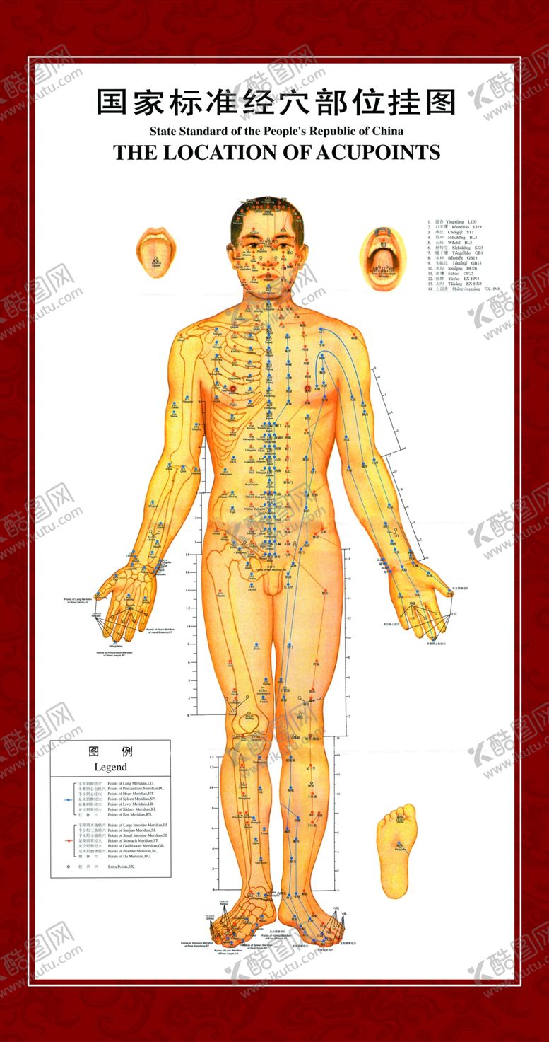 编号：24937209172235412637【酷图网】源文件下载-中医理疗